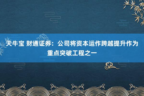 天牛宝 财通证券：公司将资本运作跨越提升作为重点突破工程之一