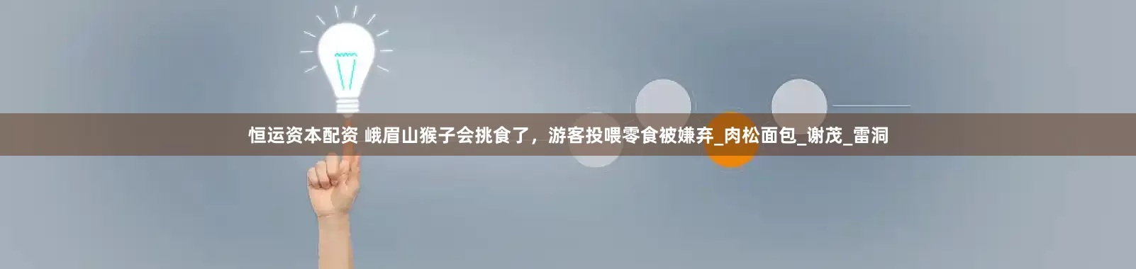 恒运资本配资 峨眉山猴子会挑食了，游客投喂零食被嫌弃_肉松面包_谢茂_雷洞