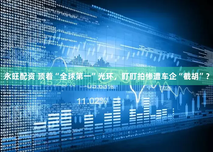 永旺配资 顶着“全球第一”光环，盯盯拍惨遭车企“截胡”？